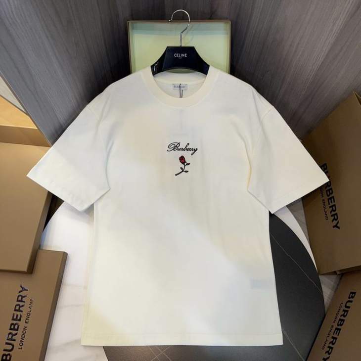 Picture of Burberry T Shirts Short _SKUBurberryS-2XLtltx10219813